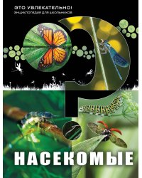 Насекомые