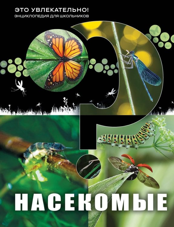 Обложка книги «Насекомые», ISBN 9785042451966