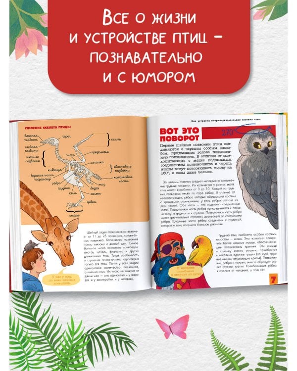 Птицы. Биология. Физиология