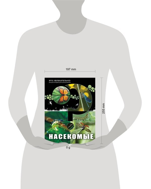 Дополнительное изображение книги «Насекомые»