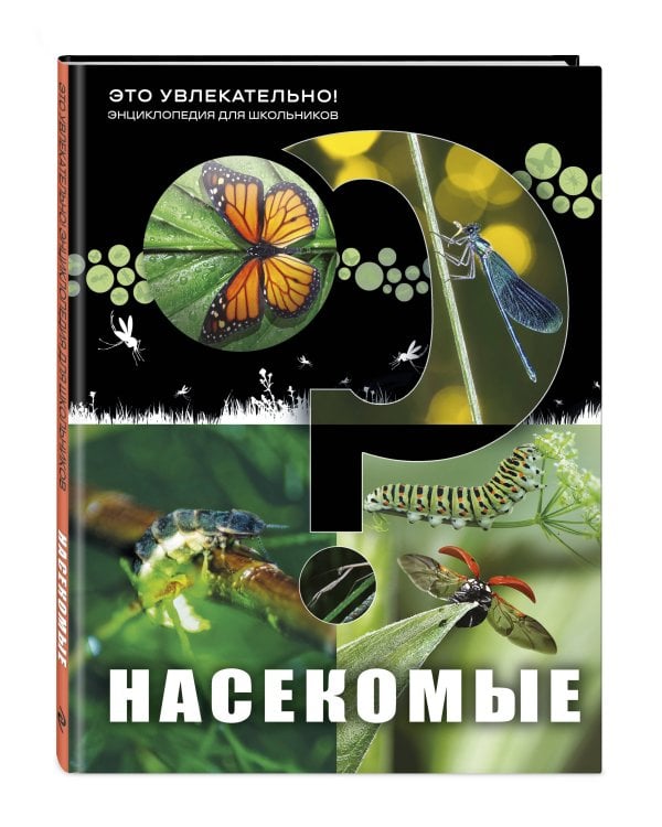 Дополнительное изображение книги «Насекомые»
