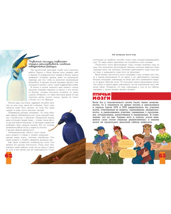 Птицы. Биология. Физиология