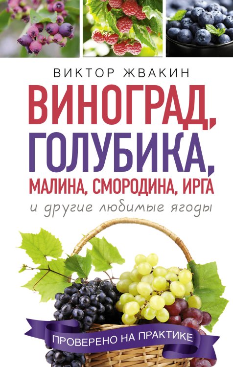 Обложка книги «Виноград, голубика, малина, смородина, ирга и другие любимые ягоды» — Жвакин Виктор Владимирович, ISBN 9785171469832