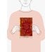 Красная книга России. Все основные виды