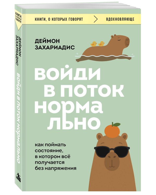Дополнительное изображение книги «Войди в поток нормально! Как поймать состояние, в котором всё получается без напряжения»