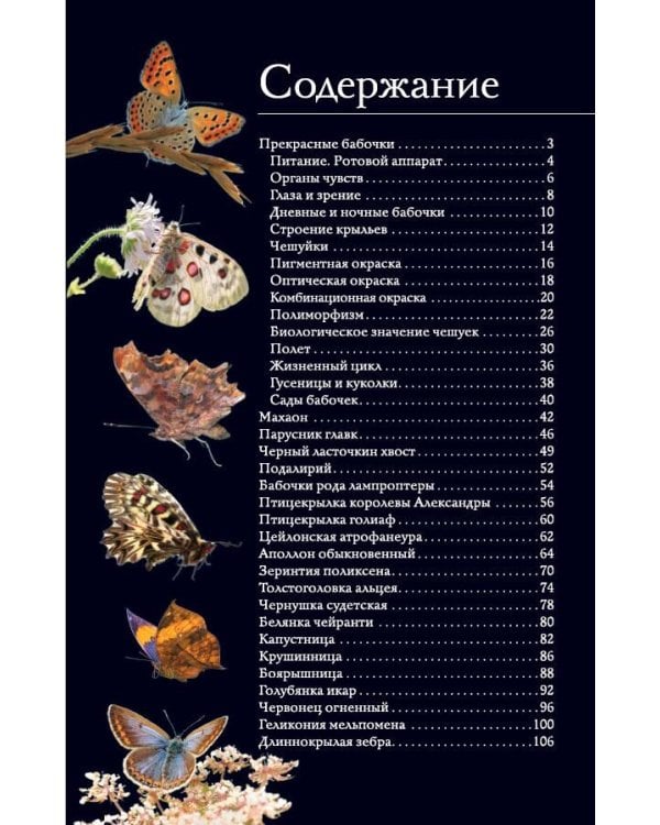 Бабочки. Иллюстрированный гид
