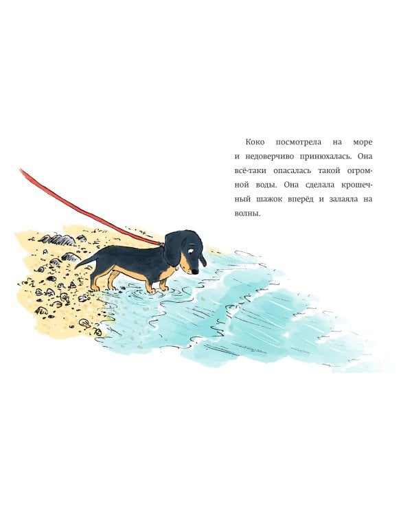 Щенок Коко, или Загадка с одной таксой (цв.ил.)