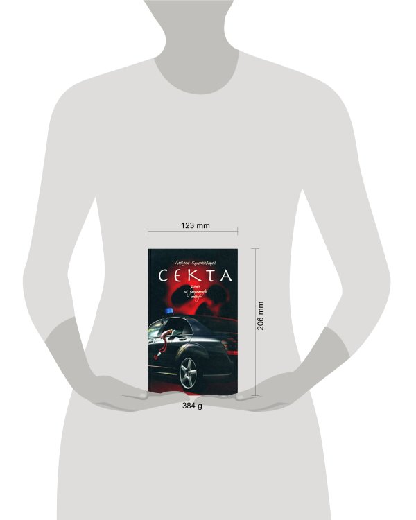 Дополнительное изображение книги «Секта. Роман на запретную тему. (черная)»