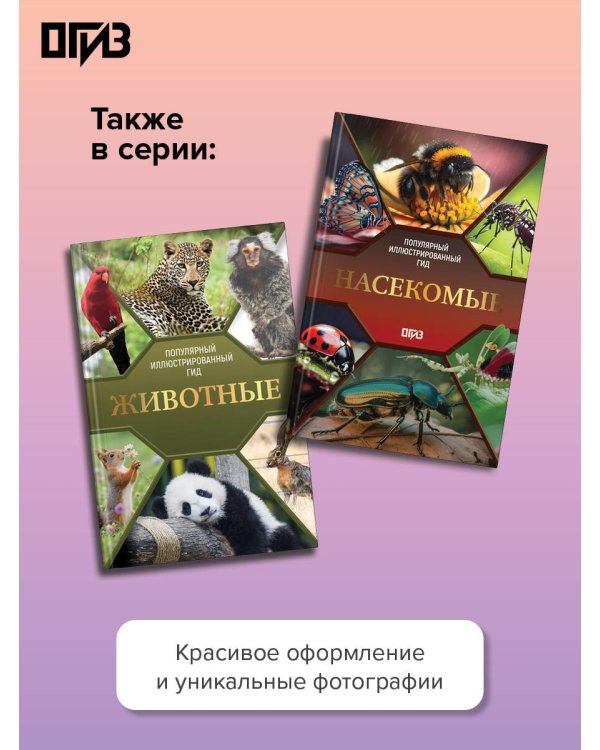 Дополнительное изображение книги «Бабочки. Иллюстрированный гид»