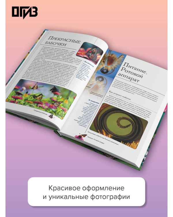 Дополнительное изображение книги «Бабочки. Иллюстрированный гид»