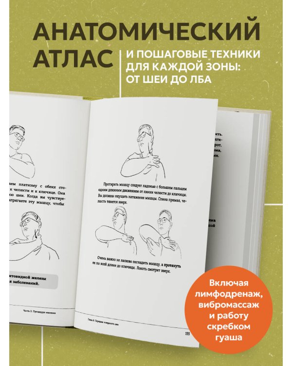 Ваша красота зависит от мышц лица. Как с помощью самомассажа вернуть молодость и сияние в любом возрасте