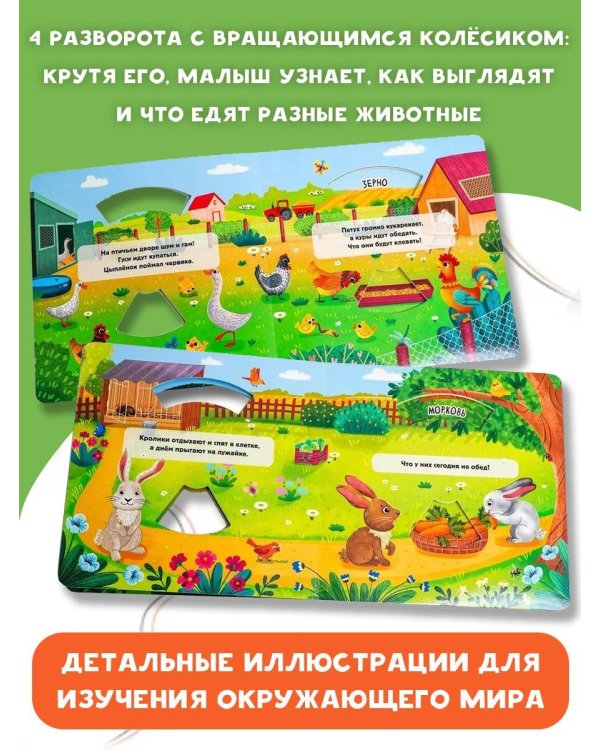 Кто что ест?