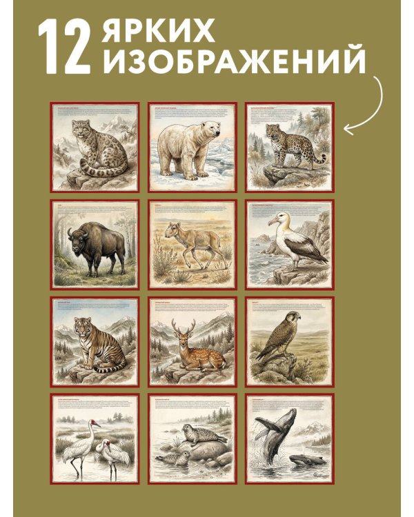 Дополнительное изображение книги «Красная книга России. Календарь настенный на 2027 год (300х300)»