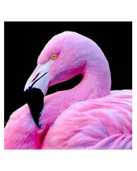 Алмаз. мозаика (клас.) 20х30 см, без подр., с част. заполн.(17цв.) ПРОГУЛКА НА ГОНДОЛЕ (Арт.ACF086)