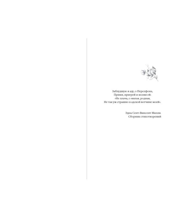 Комплект из 2-х книг. Л.Дж. Шэн "Красавицы Бостона"