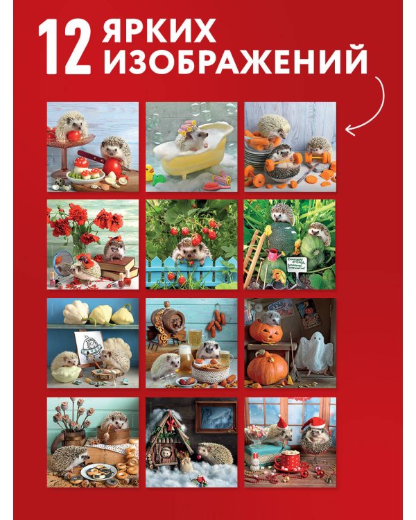 Дополнительное изображение книги «Ёжекалендарь. Мандаринки со сливками. Календарь настенный на 2027 год (300х300)»