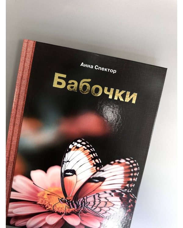 Бабочки