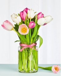 Алмаз. мозаика (блест) 17х22 см, с подр., с полн. заполн.  (18цв.) НЕЖНЫЕ ТЮЛЬПАНЫ (Арт. AS17024)