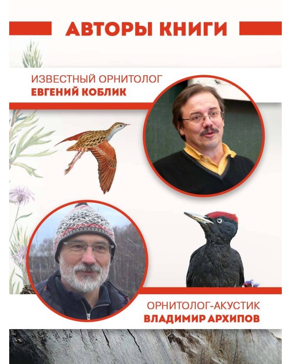 Непевчие птицы. Средняя полоса европейской части России. Определитель с голосами птиц