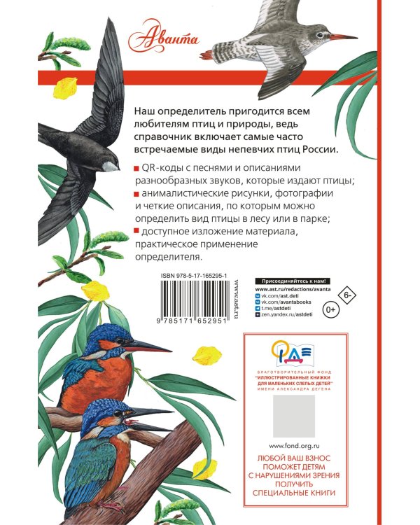 Непевчие птицы. Средняя полоса европейской части России. Определитель с голосами птиц