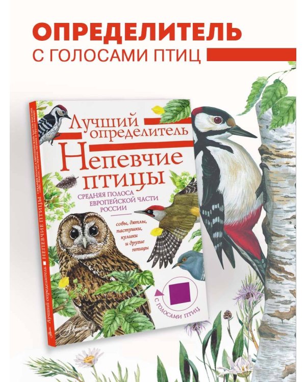 Непевчие птицы. Средняя полоса европейской части России. Определитель с голосами птиц
