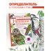 Непевчие птицы. Средняя полоса европейской части России. Определитель с голосами птиц