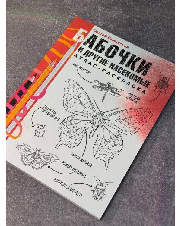 Бабочки и другие насекомые. Атлас-раскраска
