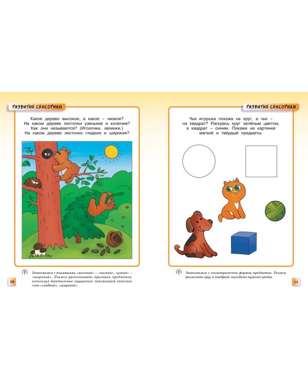 Развивающие тесты (2-3 года)