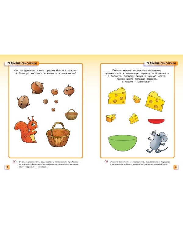 Развивающие тесты (2-3 года)