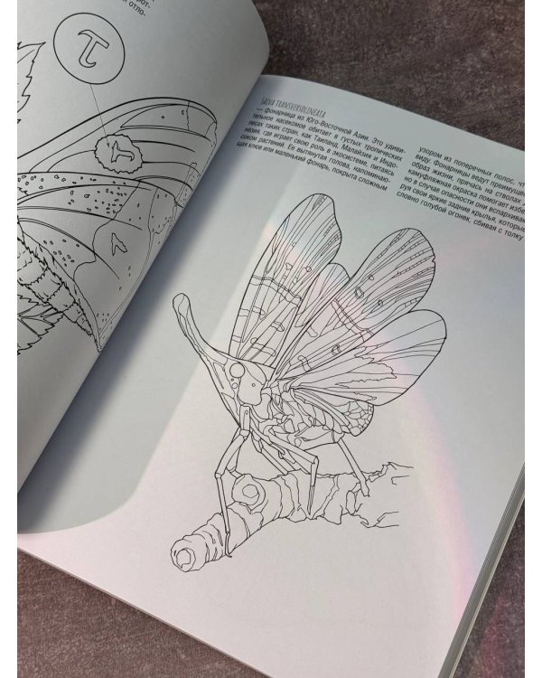 Бабочки и другие насекомые. Атлас-раскраска