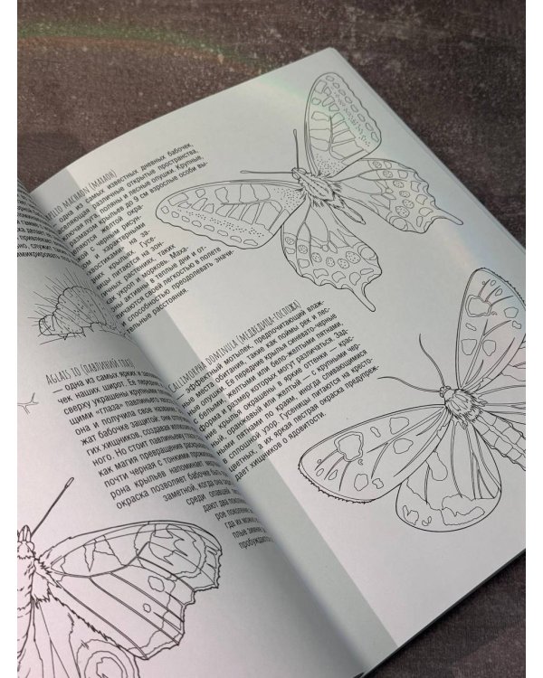 Бабочки и другие насекомые. Атлас-раскраска