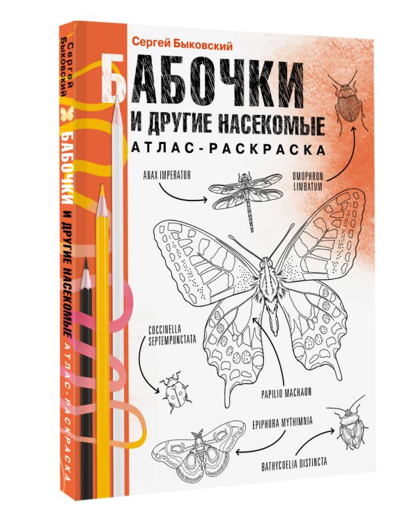 Бабочки и другие насекомые. Атлас-раскраска