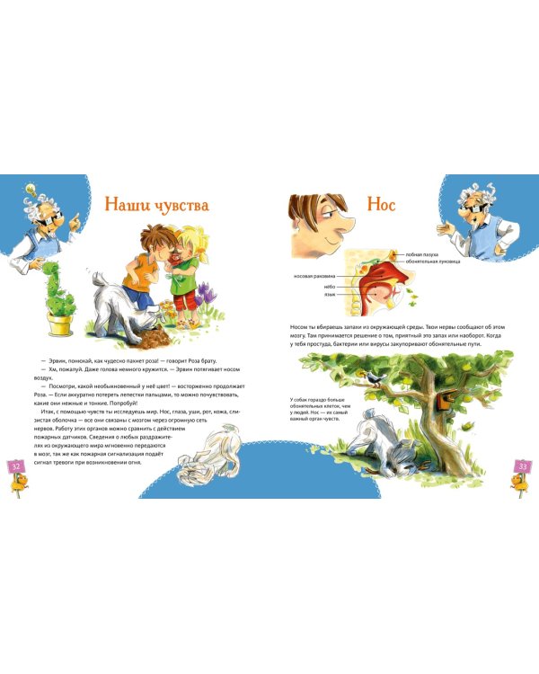 Большая книга здоровья для всей семьи