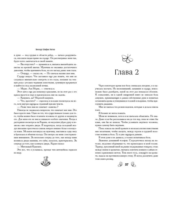 Дополнительное изображение книги «Черная бабочка, летящая во тьму (#1)»