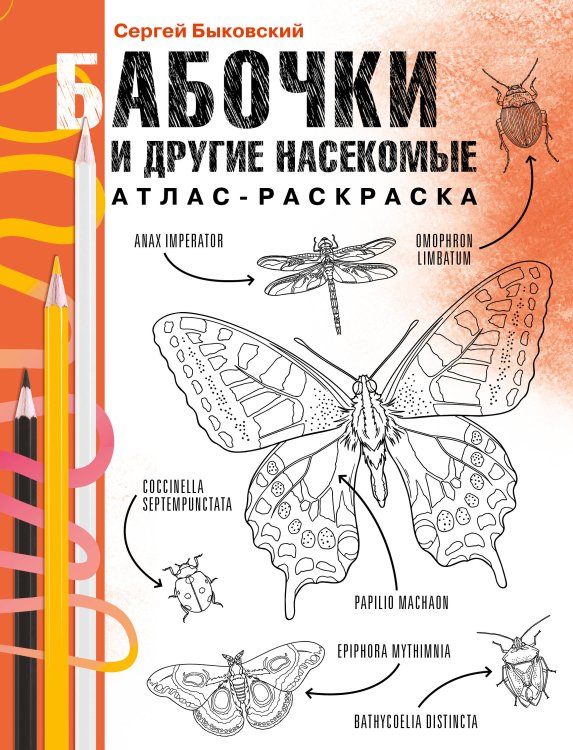 Атлас-раскрасска: научный подход Бабочки и другие насекомые. Атлас-раскраска