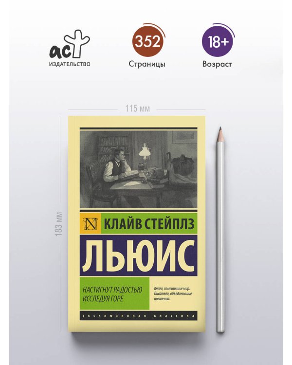 Дополнительное изображение книги «Настигнут радостью. Исследуя горе»
