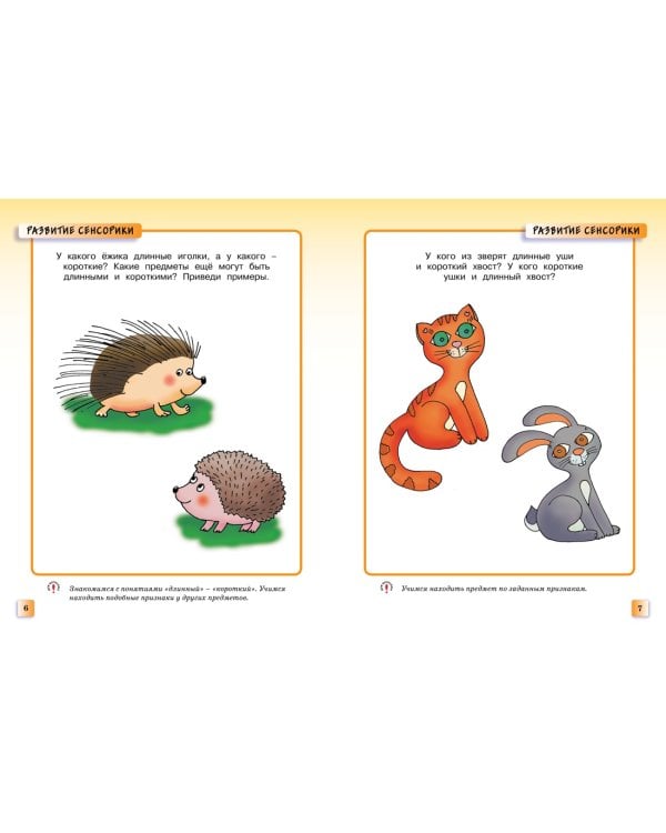 Развивающие тесты (2-3 года)