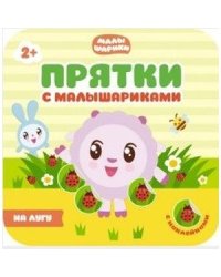 Прятки с малышариками.На лугу