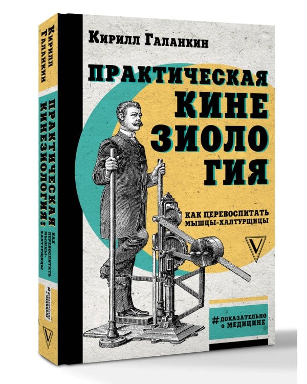 Практическая кинезиология: как перевоспитать мышцы-халтурщицы