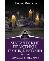Магические практики, техники, ритуалы. Большая книга мага