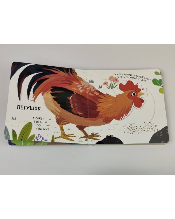 Смотрим, играем, запоминаем! На ферме