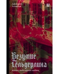 Безумие Гёльдерлина. Жизнь, поделенная надвое