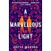 A Marvellous Light (Freya Marske) Чудесный свет (Фрея Марск) /Книги на английском языке
