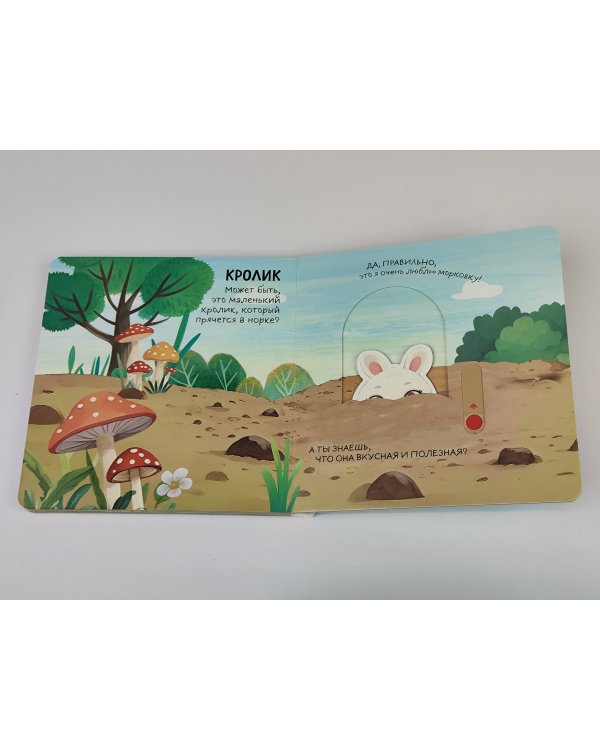 Смотрим, играем, запоминаем! На ферме