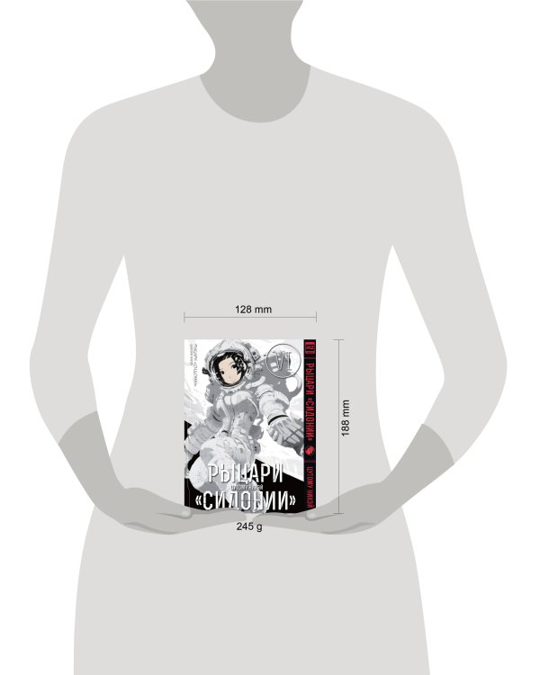 Дополнительное изображение книги «Рыцари Сидонии.Том 6»