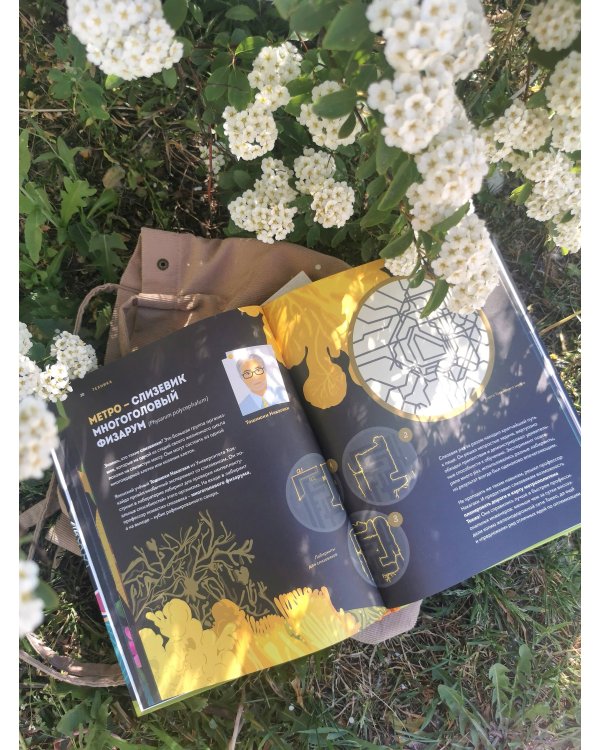 Дикие изобретения. 40 технологий, подаренных нам природой