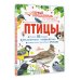 Птицы
