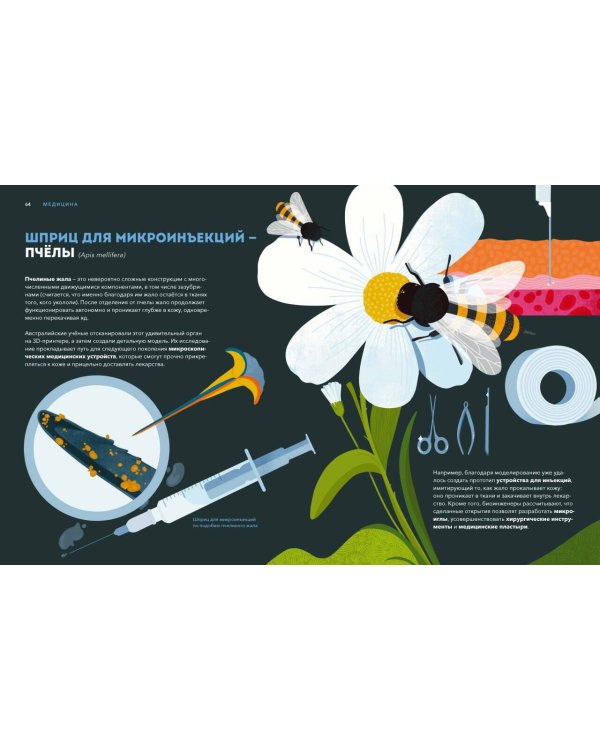 Дикие изобретения. 40 технологий, подаренных нам природой