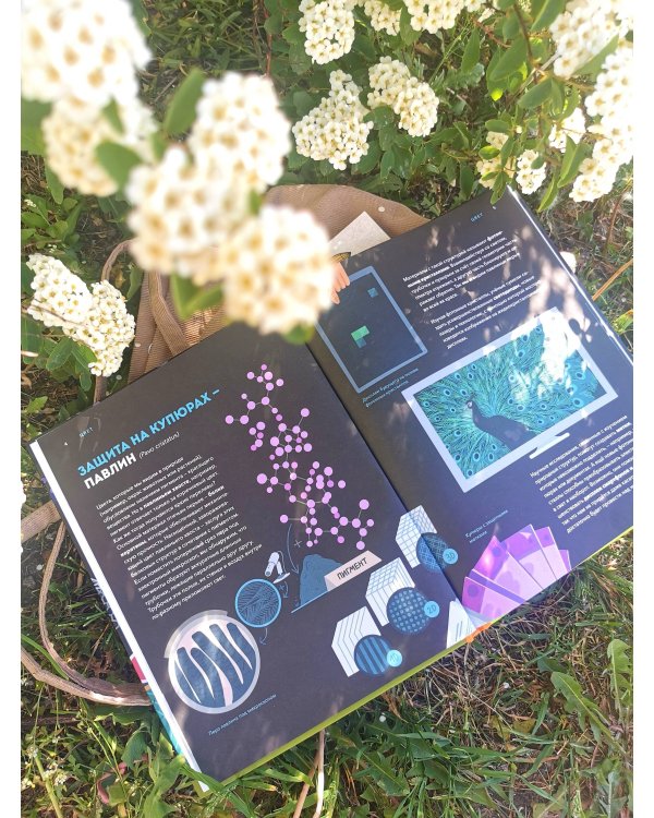 Дикие изобретения. 40 технологий, подаренных нам природой