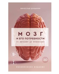 Мозг и его потребности 2.0. От питания до признания